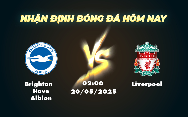 Nhận định soi kèo Brighton Hove Albion vs Liverpool Cuộc chiến không cân sức tại Ngoại hạng Anh 1 brighton hove albion liverpool 20 05 ngoai hang anh